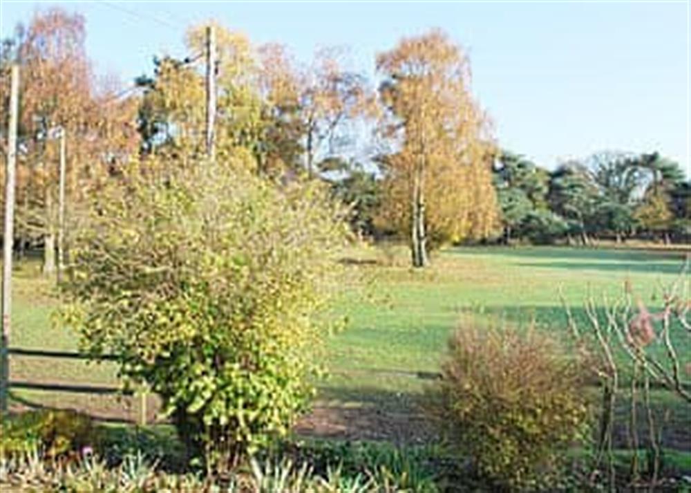 View at Nightingales in Hollesley, near Woodbridge, Suffolk