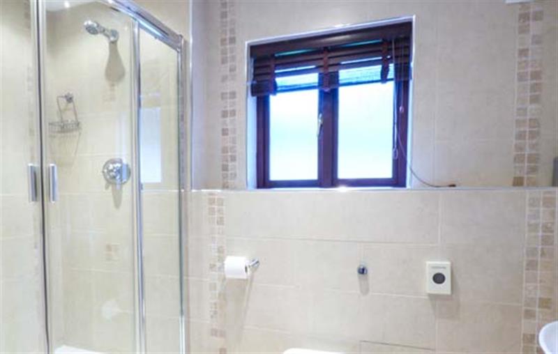 Shower room at No. 2 - Cedar Lodge, St Breock Downs near Wadebridge, Cornwall
