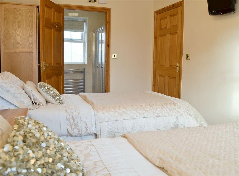 Ideal twin room with en-suite shower room at No 5 Pengraig Draw in Aberystwyth, Dyfed