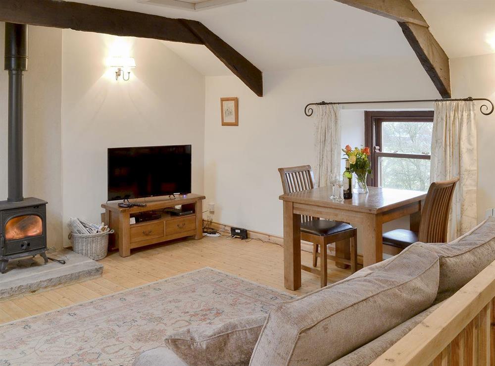 Characterful open plan living space at No 6 Swallowholm Cottages in Arkengarthdale, North Yorkshire