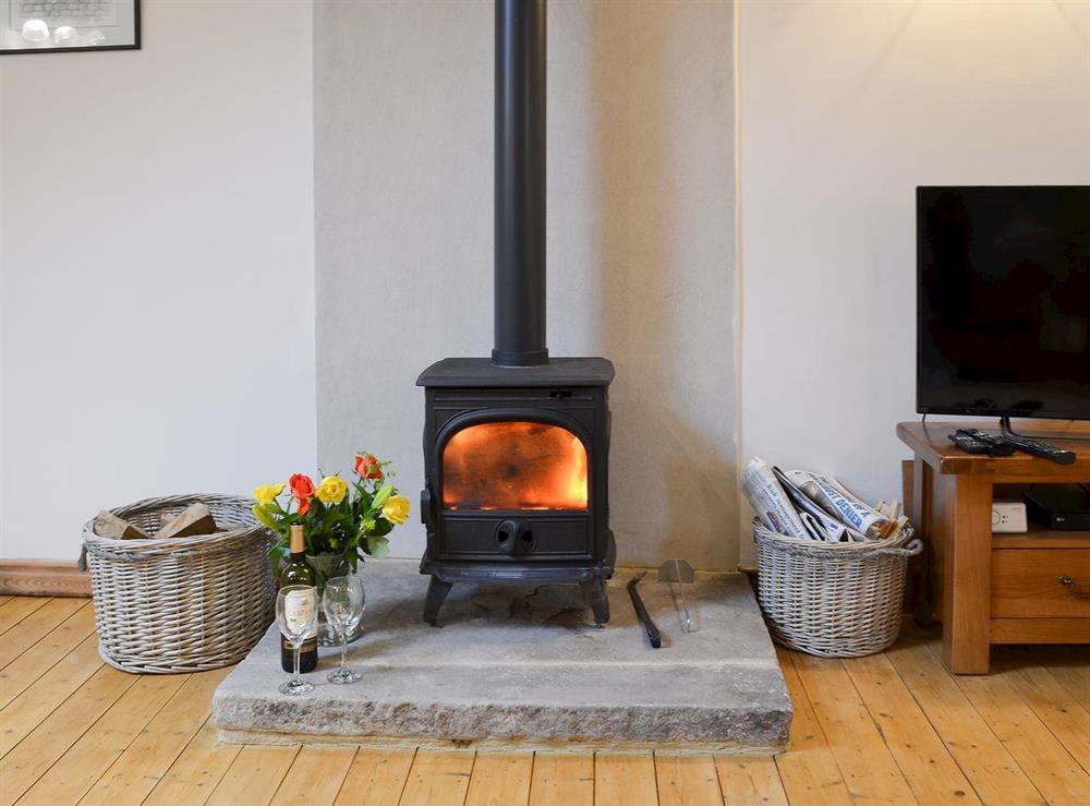 Warm and cosy wood burner at No 6 Swallowholm Cottages in Arkengarthdale, North Yorkshire