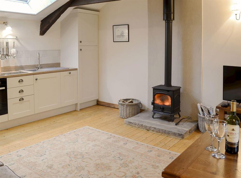 Well presented, cosy open plan living space at No 6 Swallowholm Cottages in Arkengarthdale, North Yorkshire