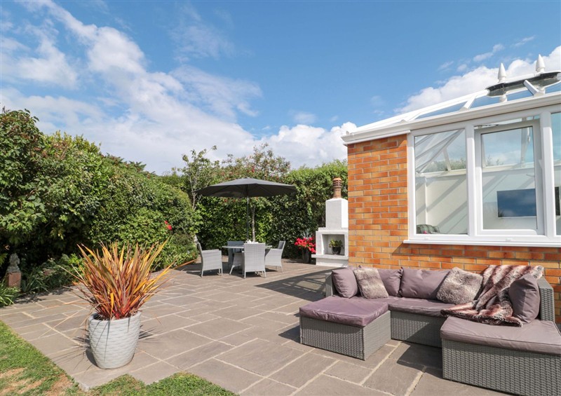 The garden in No 8 at No 8, Burnham-On-Sea
