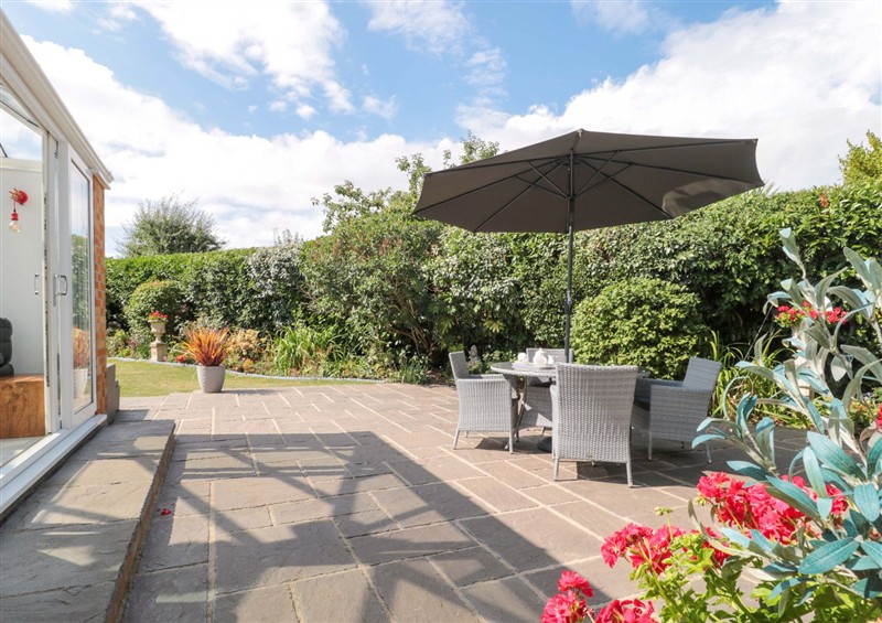 This is the garden at No 8, Burnham-On-Sea