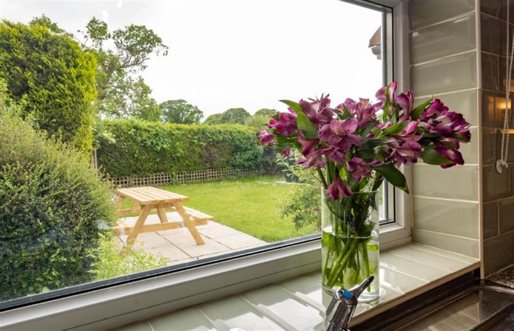 Looking out to the garden at Norahs Cottage, Potter Heigham near Great Yarmouth