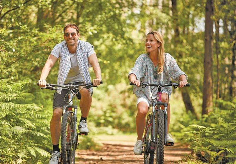 Cycling routes at Norfolk Woods Resort & Spa in Pentney, King’s Lynn
