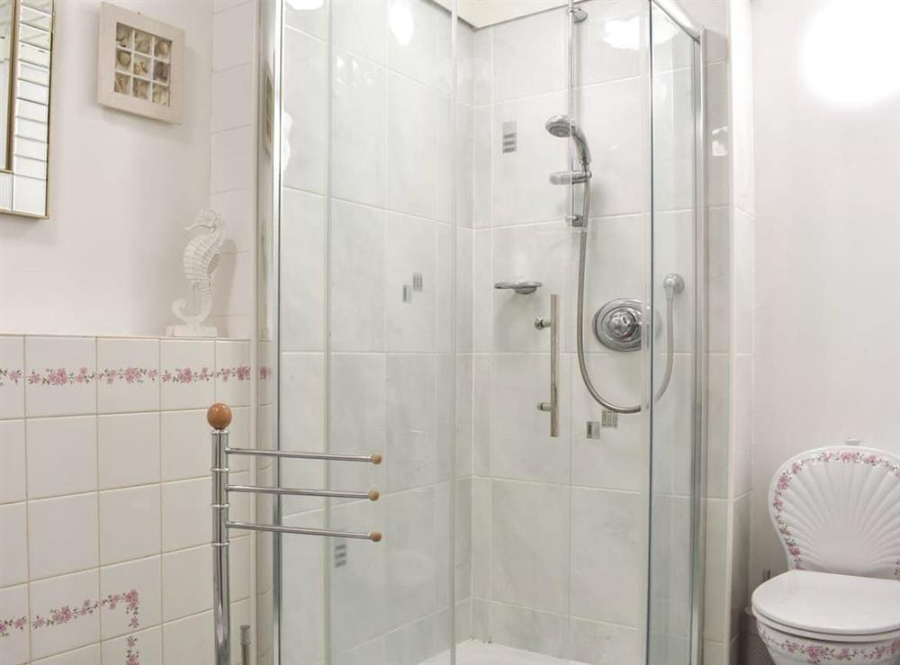 Shower room at North Castle Cottage in Cullen, Banffshire