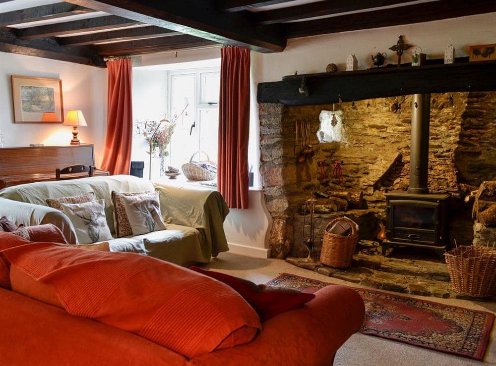 Comfortable and warm living room with wood burner at North Huckham in Huckham, near Dulverton, Somerset