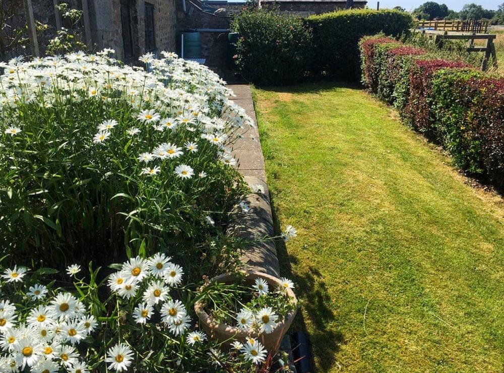 Garden at North Road Cottage in Hackforth, Bedale, North Yorkshire
