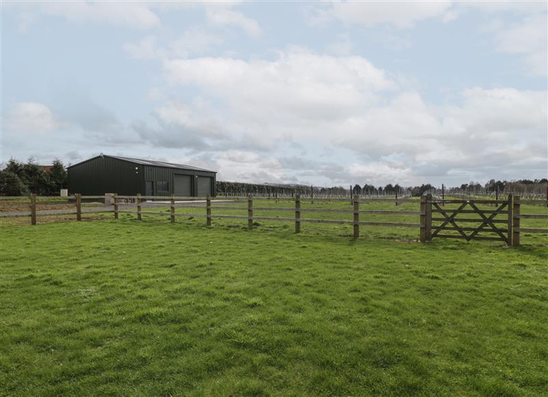 Rural landscape at North Star, Llanarth
