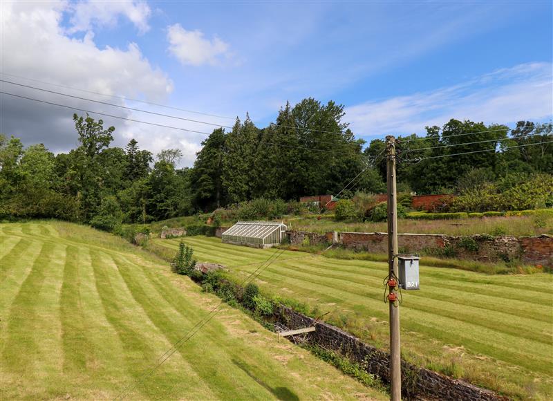 Rural landscape