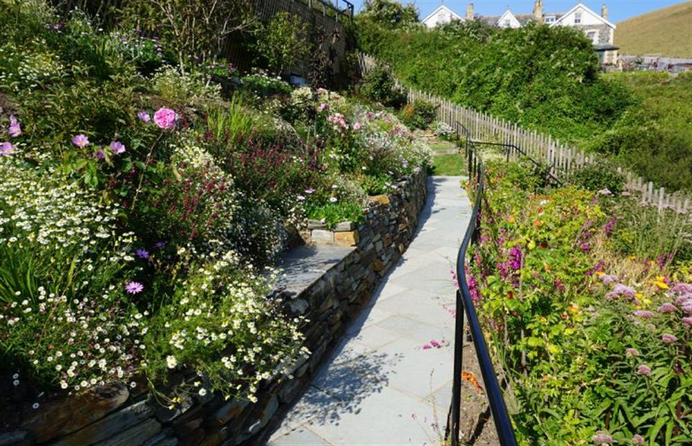 The magnificent garden in July at Northcliffe, Port Isaac