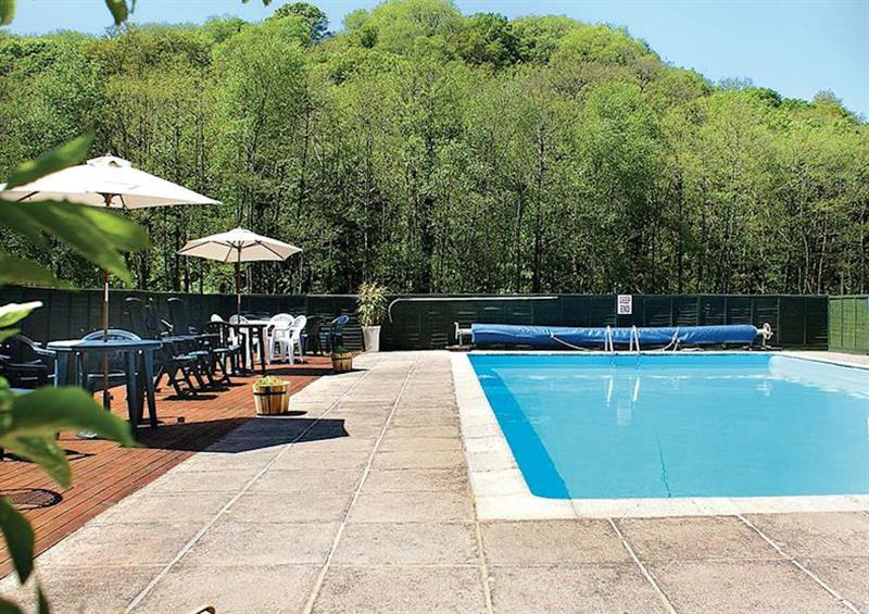 Outdoor heated swimming pool at Notter Mill in Notter Bridge, Saltash
