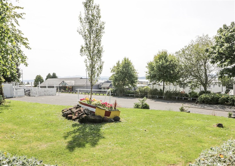 The garden at Number 42, Wemyss Bay