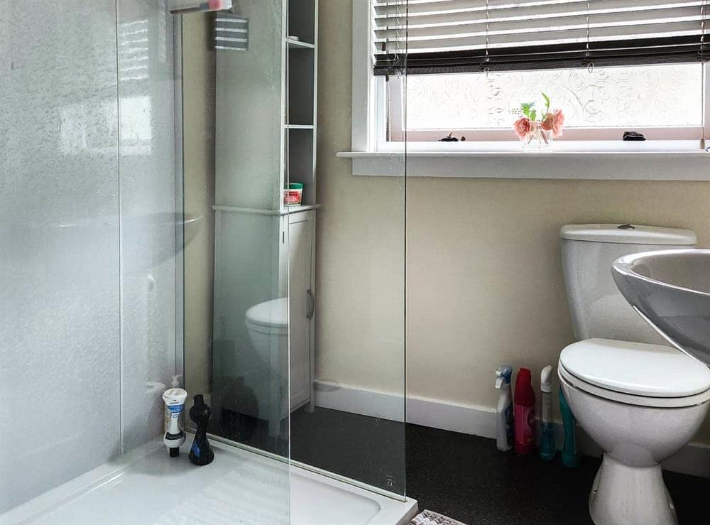 Shower room at Number Twenty-Nine in Berwick-upon-Tweed, Northumberland