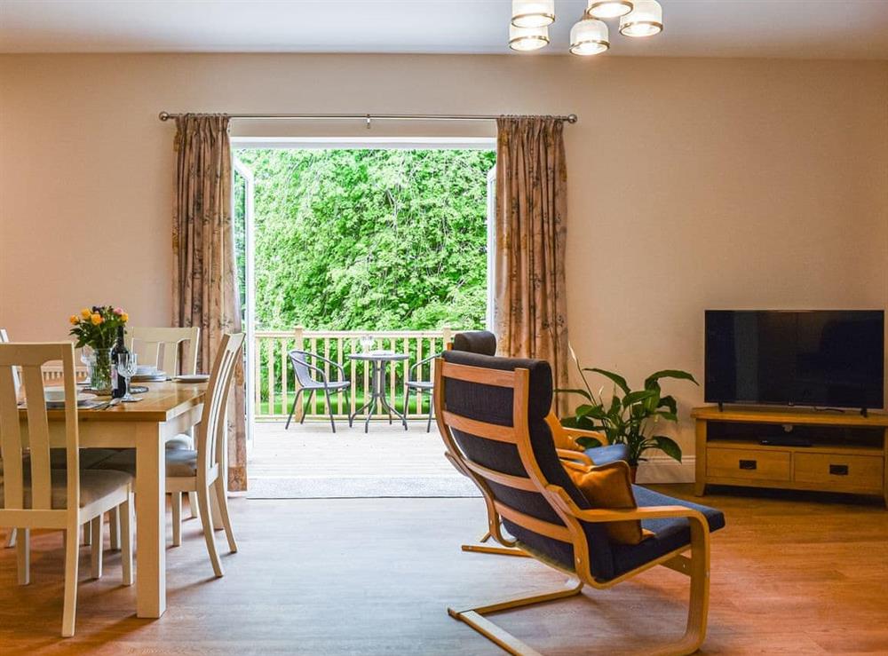 Open plan living space at Nuthatch in Buckland Brewer, near Bideford, Devon