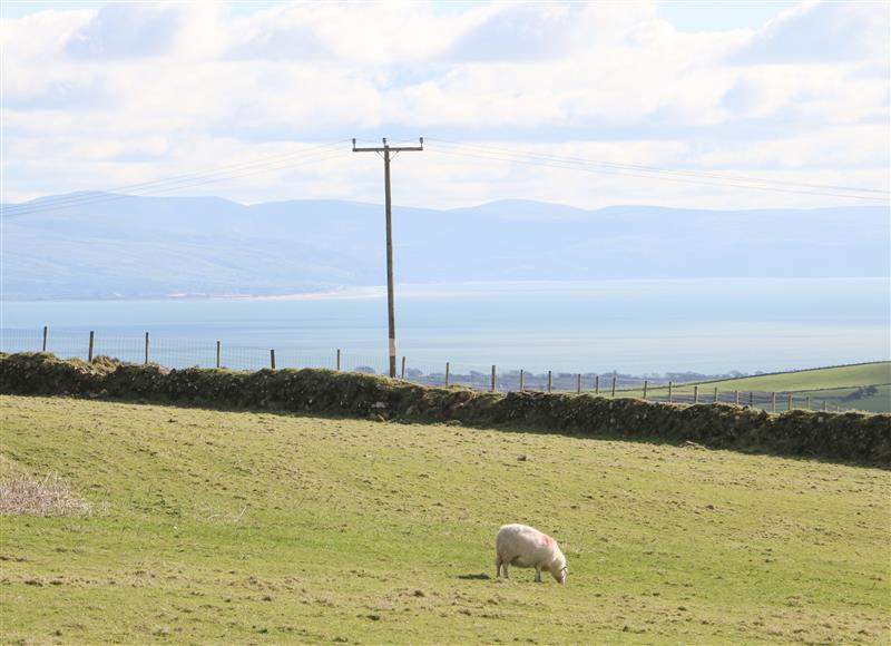 This is the garden at Nyth Y Bioden (Magpies Nest), Llanaelhaearn near Trefor