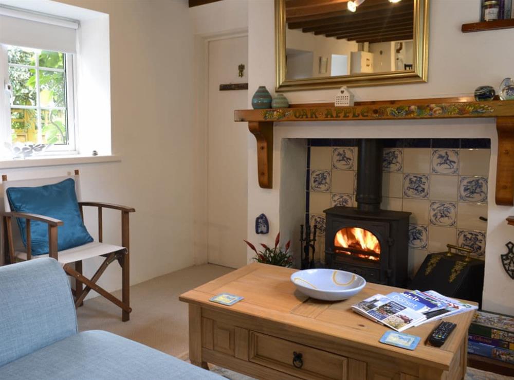 Tranquil and warm living room with wood burner at Oak Apple Cottage in Upottery, near Honiton, Devon