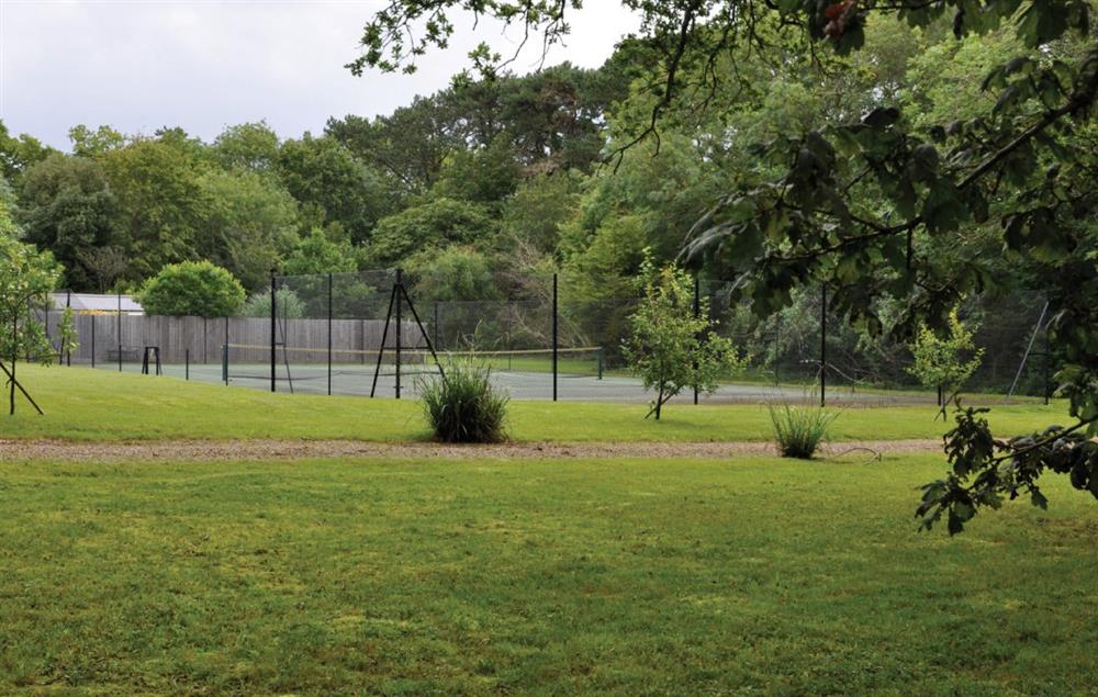 The extensive grounds also include an asphalt tennis court