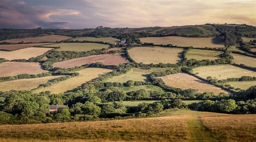 Looking inland at Oak Cottage in Bridport, Dorset