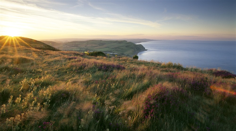 The Dorset coastline shot from the summit of Golden Cap, with sea to the right and cliffs to the right. The sun is rising above a grassy mound and heather grows on the clifftop (photo 2) at Oak Cottage in Bridport, Dorset