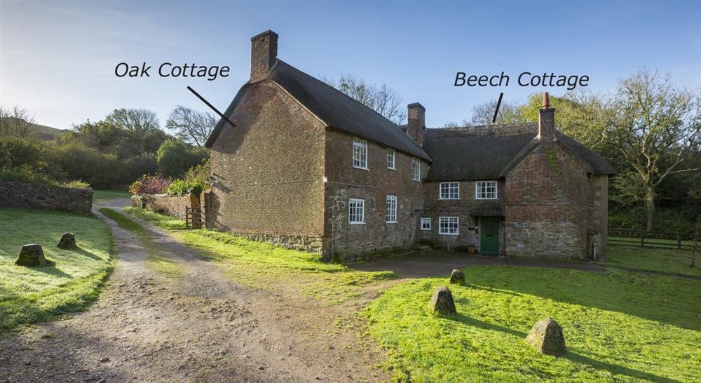 The exterior of Oak and Beech cottages, nr Bridport, Dorset