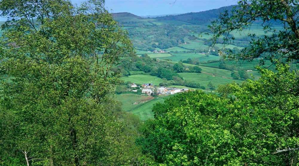 View from Lamberts Castle Hill, Dorset. at Oak Cottage in Bridport, Dorset