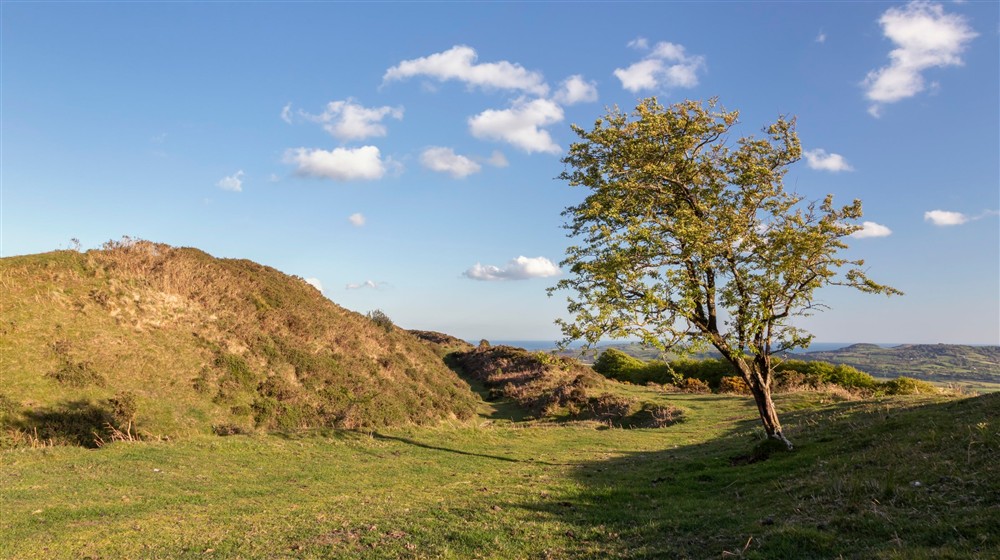 Western ramparts and view beyond at Oak Cottage in Bridport, Dorset