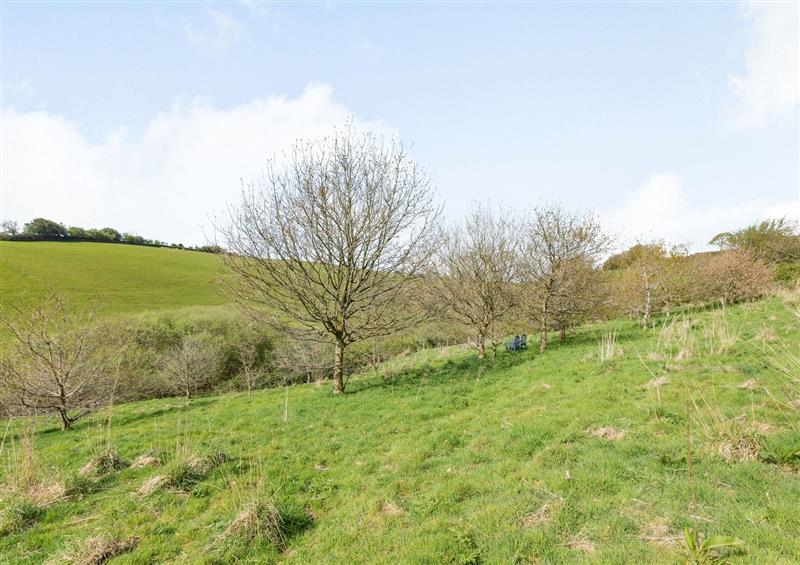 Rural landscape at Oak Cottage, North Molton