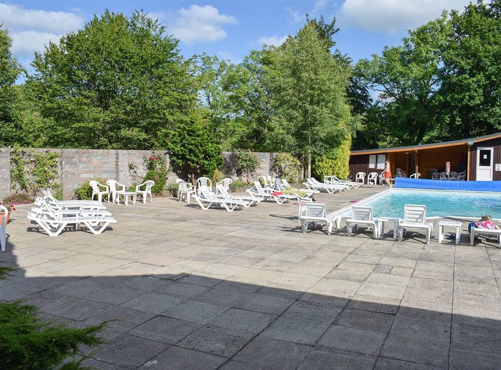 Shared outdoor swimming pool at Oak Haven in Cenarth, near Newcastle Emlyn, Carmarthenshire, Dyfed
