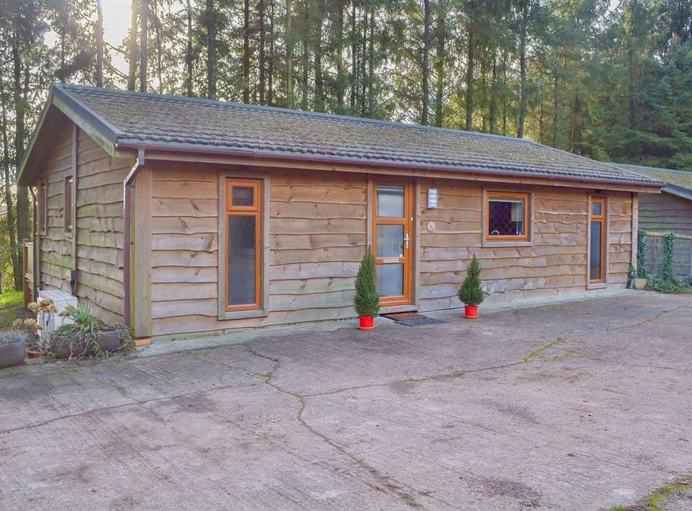 Cabin style lodge in wooded surroundings at Oak Lodge in Clatworthy, near Williton, Somerset