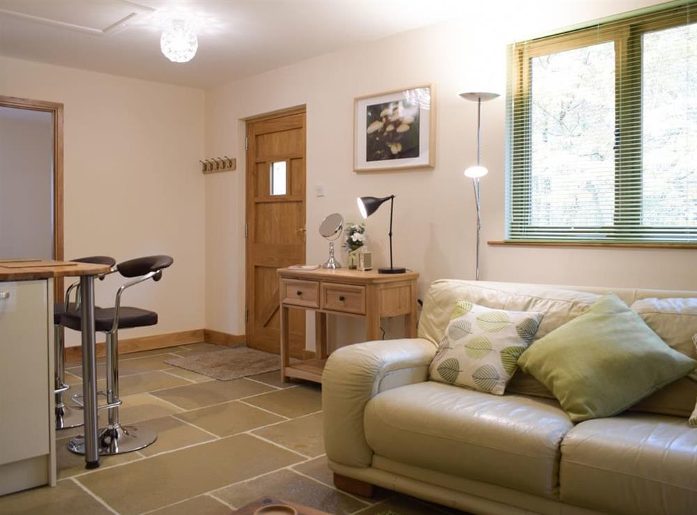 Open plan living space (photo 3) at Oak Lodge in Edwyn Ralph, near Bromyard, Herefordshire