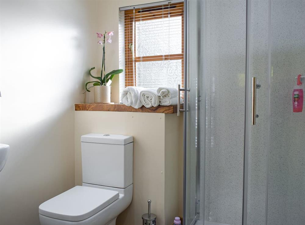 Shower room at Oak Lodge in Edwyn Ralph, near Bromyard, Herefordshire