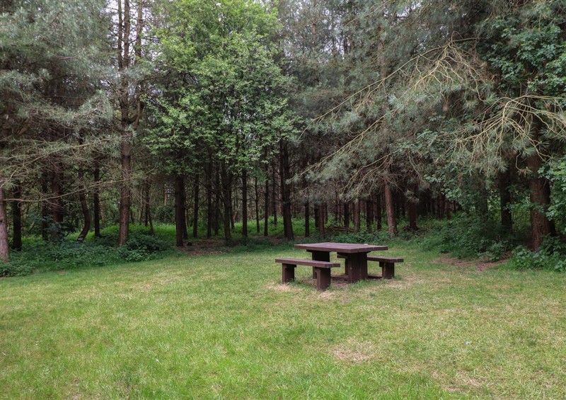 The garden in Oak Lodge at Oak Lodge, Rosliston