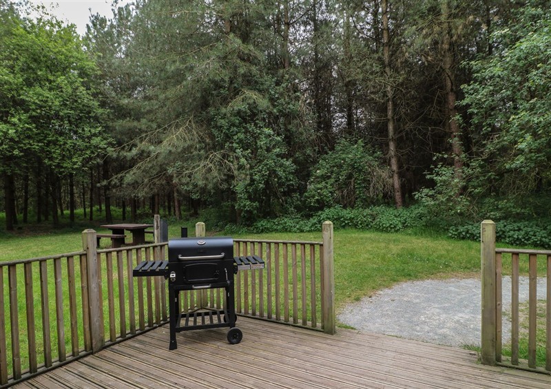 This is the garden at Oak Lodge, Rosliston
