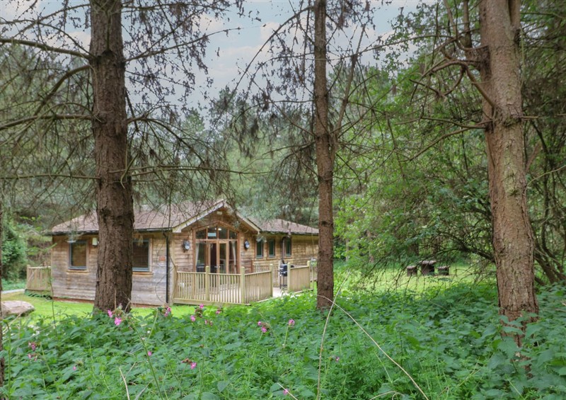 This is the setting of Oak Lodge (photo 4) at Oak Lodge, Rosliston