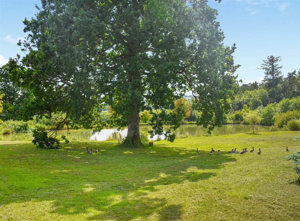 Surrounding area at Oak Park One in Tiverton, Devon