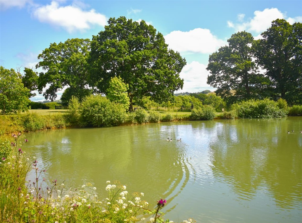 Surrounding area (photo 3) at Oak Park Two in Tiverton, Devon