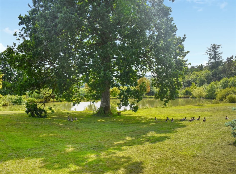 Surrounding area at Oak Park Two in Tiverton, Devon