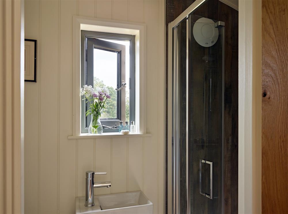 The en-suite shower room with shower, wash basin and WC at Oak Retreat, Blencowe, near Greystoke