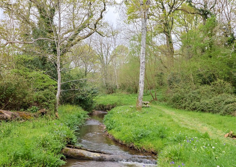 Rural landscape
