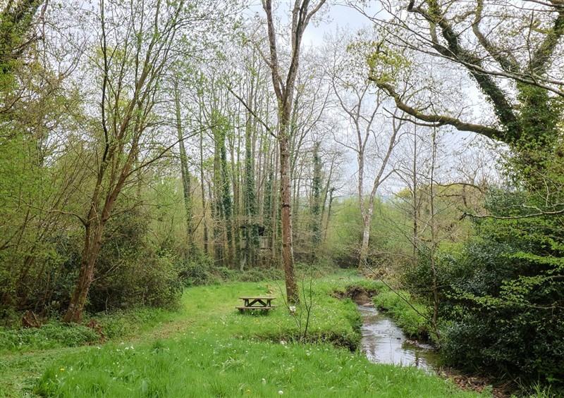 The setting of Oak Shepherd Hut