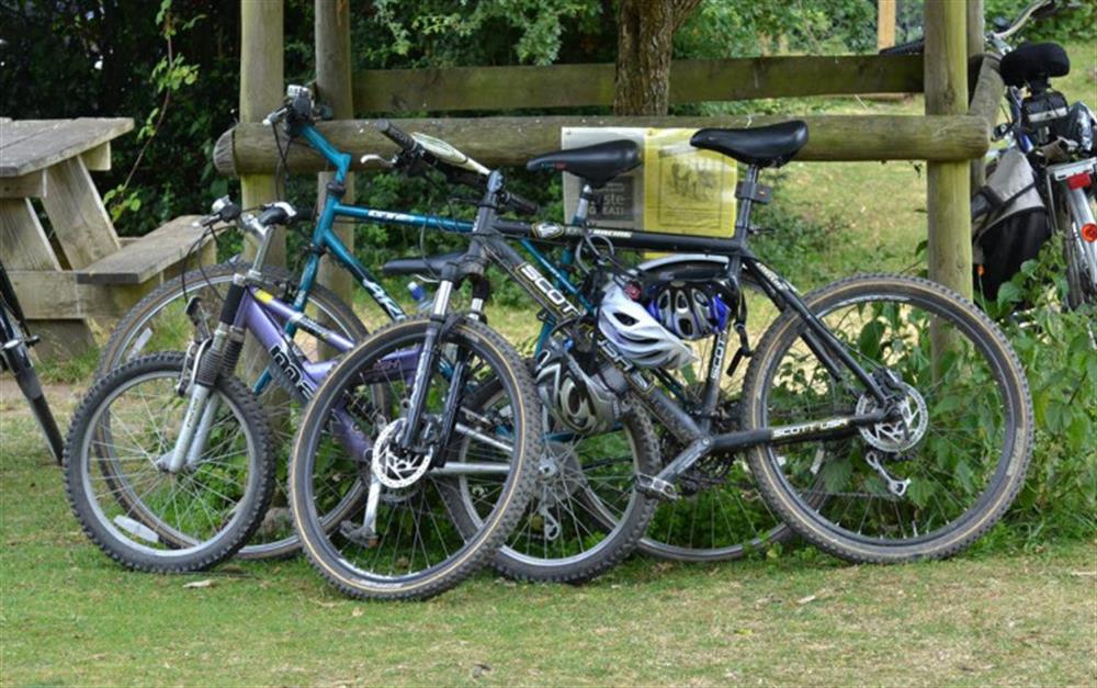 Cycle hire available at Forest Leisure in Burley village centre at Oak Tree Cottage in Burley