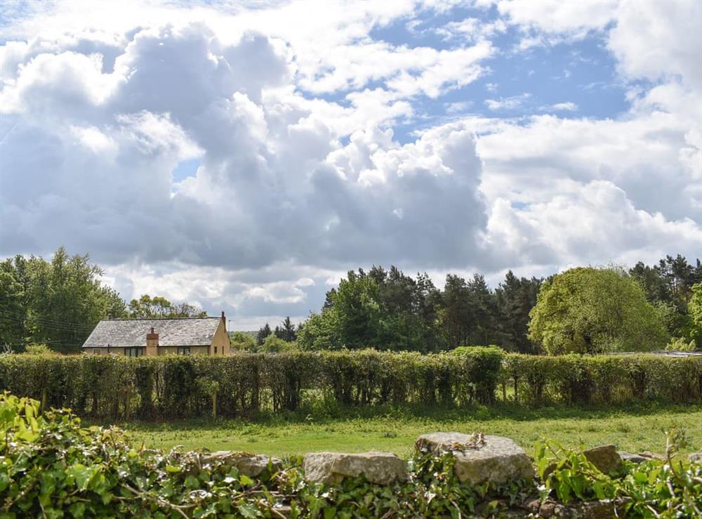 Lovely rural view at Oak Tree Cottage in Drybrook, Gloucestershire
