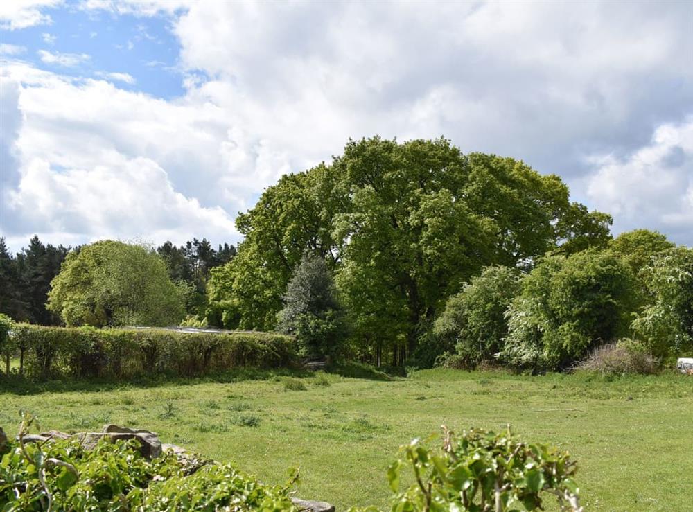 Picturesque rural view at Oak Tree Cottage in Drybrook, Gloucestershire