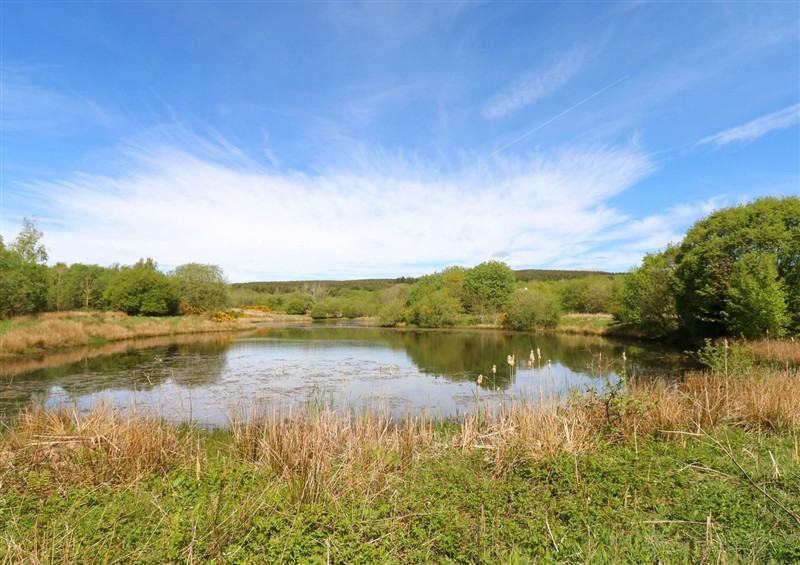 The setting at Oak Tree Cottage, Frizington