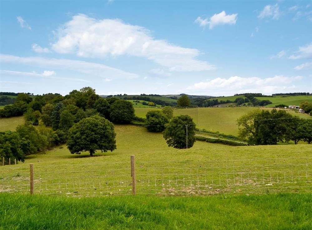 Surrounding area at Oak View in Aberhafesp, near Newtown, Powys