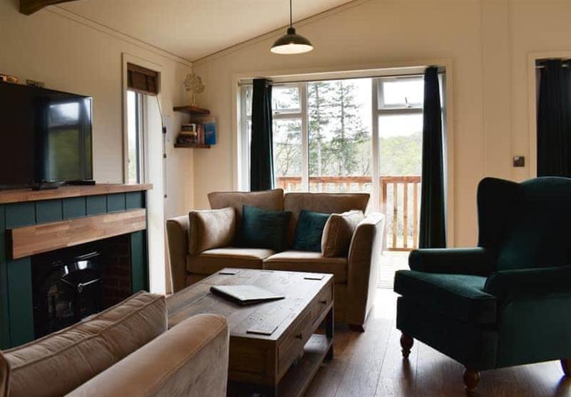 Living room in the Oak Lodge at Oak View Lodges in Horningtops, Liskeard