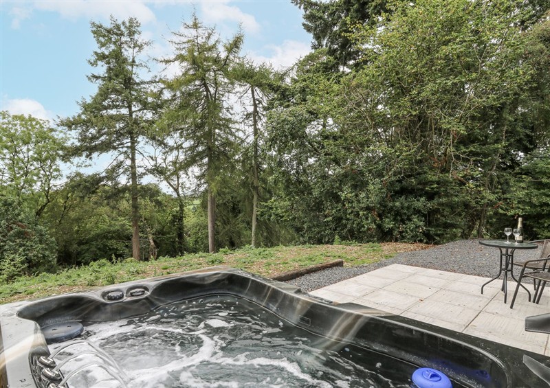 Enjoy the swimming pool at Oak View, Rhayader