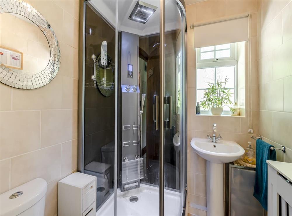 Shower room at Oakdale Lodge in Hopwood, Nr Alvechurch, Worcestershire